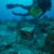 A scuba diver holds a yellow crate while floating in the ocean near the floor. An box-like structure sits in the middle.