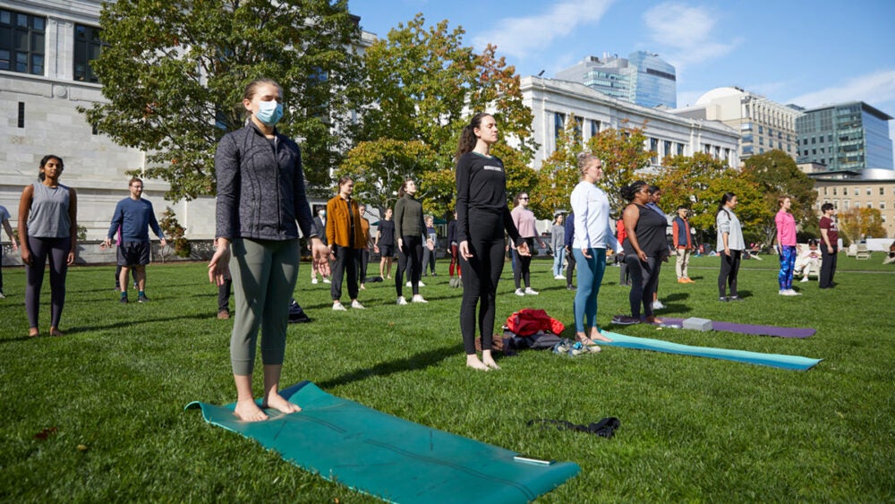 Students practice yoga on a sunny day on a grassy area.