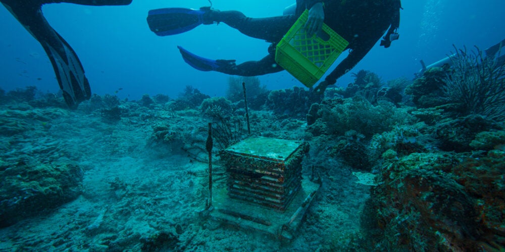 A scuba diver holds a yellow crate while floating in the ocean near the floor. An box-like structure sits in the middle.