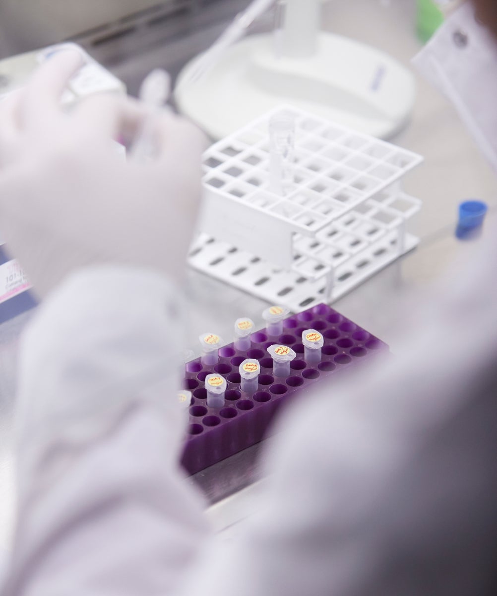 Medical vials in a purple rack with a white-gloved hand holding a pipette above.