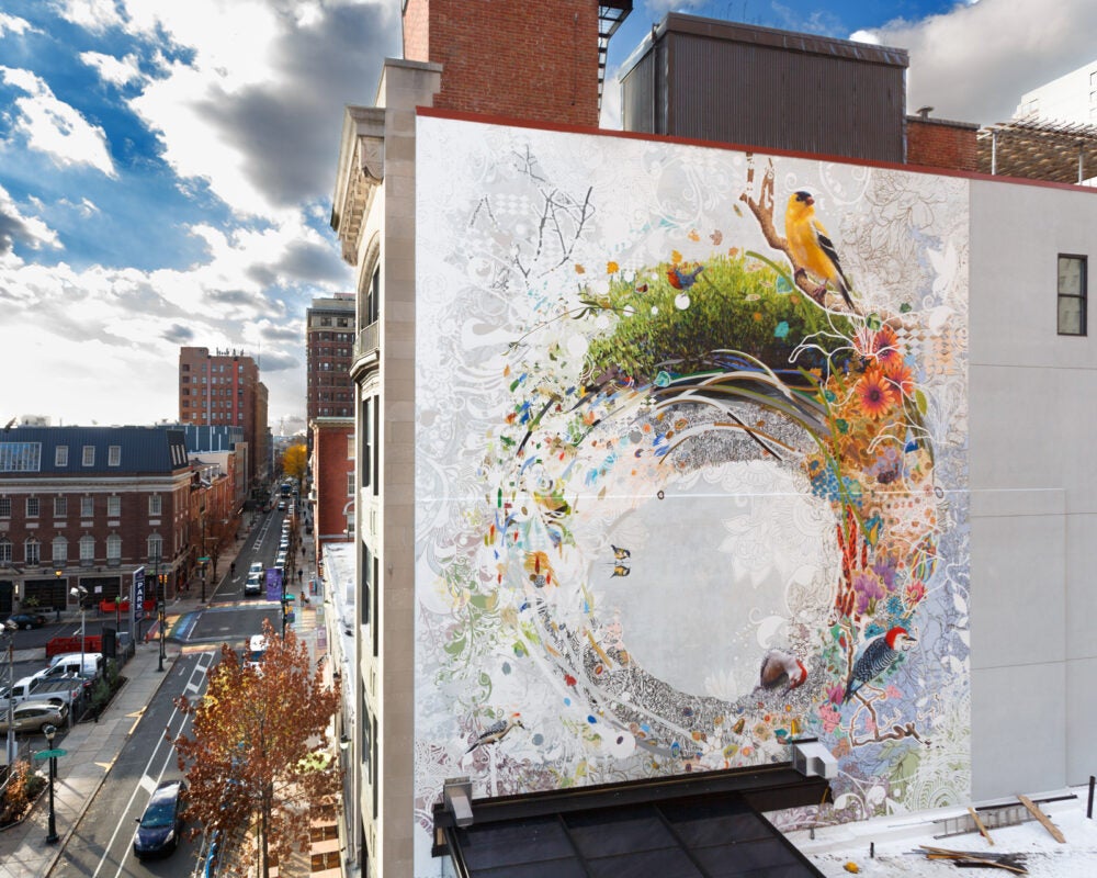 Mural called "Sanctuary": a white wall with a circular swirl of objects such as guitars, birds and greenery; flowers and a yellow and black bird sit in the top right corner.