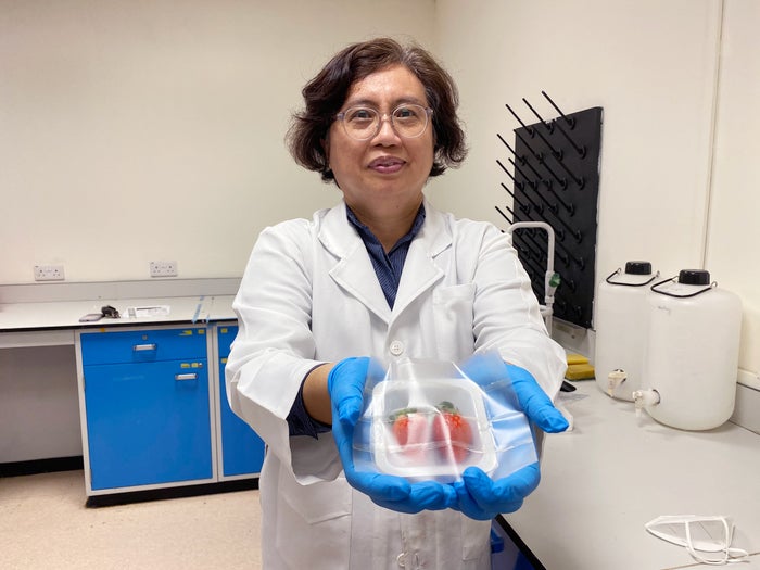 An asian woman wearing a white labcoat and blue latex gloves stands in a lab and holds new "smart packaging" with strawberries inside.