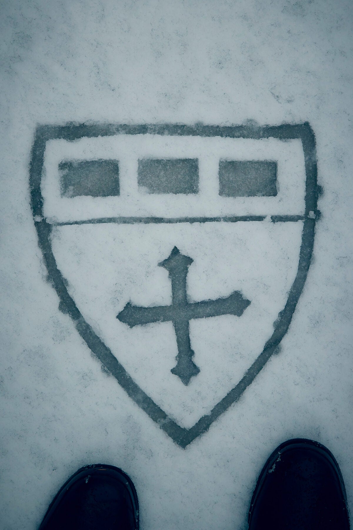 The Harvard Chan school crest is drawn in a layer of snow. A pair of snow boots peek into the frame.