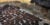 Evenly shaped circular cow dung cakes rest on dirt outside a mud and thatch hut. They are being dried by the sun.