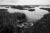 Black and white photo: Two aluminum boats rest along the shoreline of a marshy shoreline in Lousiana.