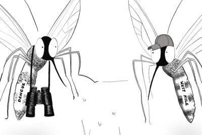 Two mosquitos in conversation. Left mosquito has binoculars hanging from its neck and the text “Dengue” on its body.