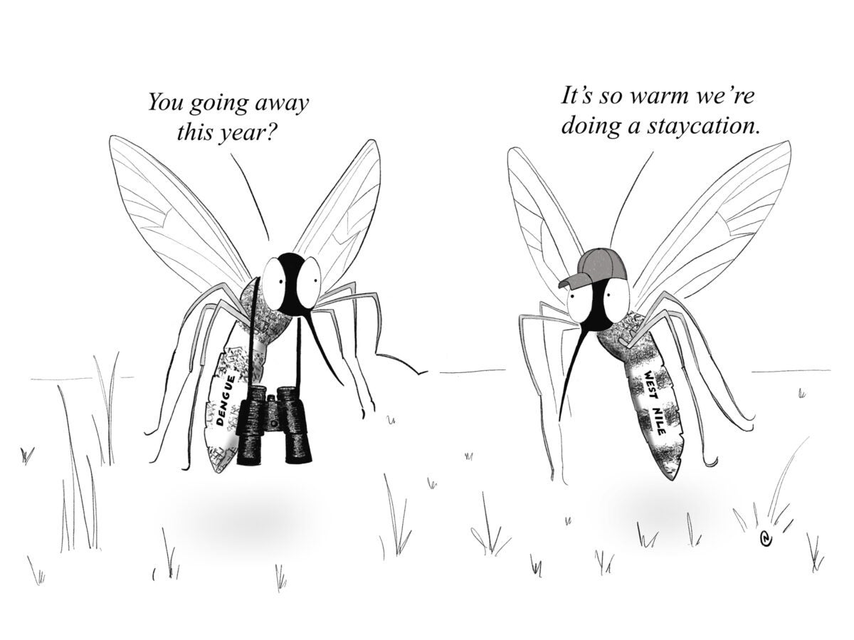 Two mosquitos in conversation. Left mosquito has binoculars hanging from its neck and the text “Dengue” on its body. Right mosquito wears a baseball cap and the text “West Nile” on its body. The left one says “You going away this year?” The right one replies “It’s so warm we’re doing a staycation.”