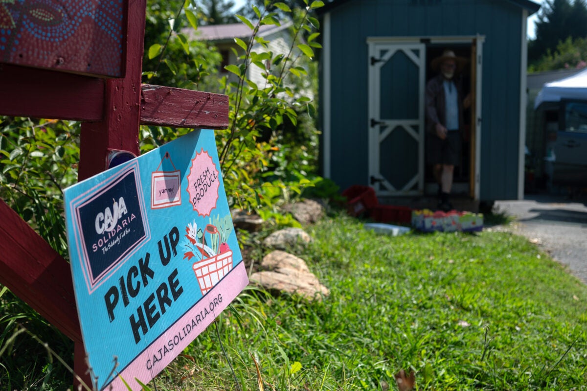 A blue and pink sign reads “Pick up here” and “cajasolidaria.org” in a grassy yard with a small grey shed in the background.