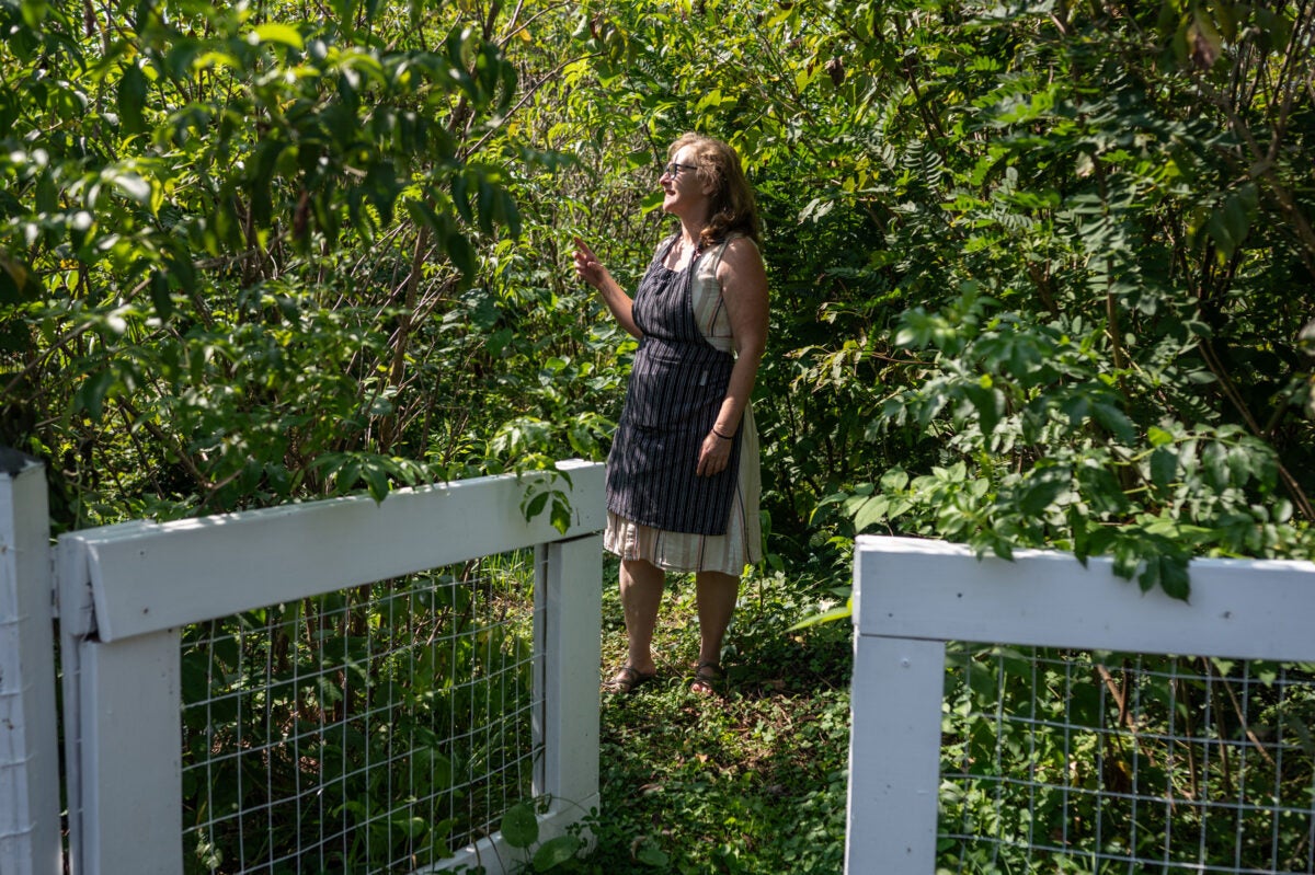 A middle aged woman with medium-length blonde hair and glasses wears a black striped apron and a khaki dress. She stands in a lush sunny garden. A white wooden gate I open in the foreground.