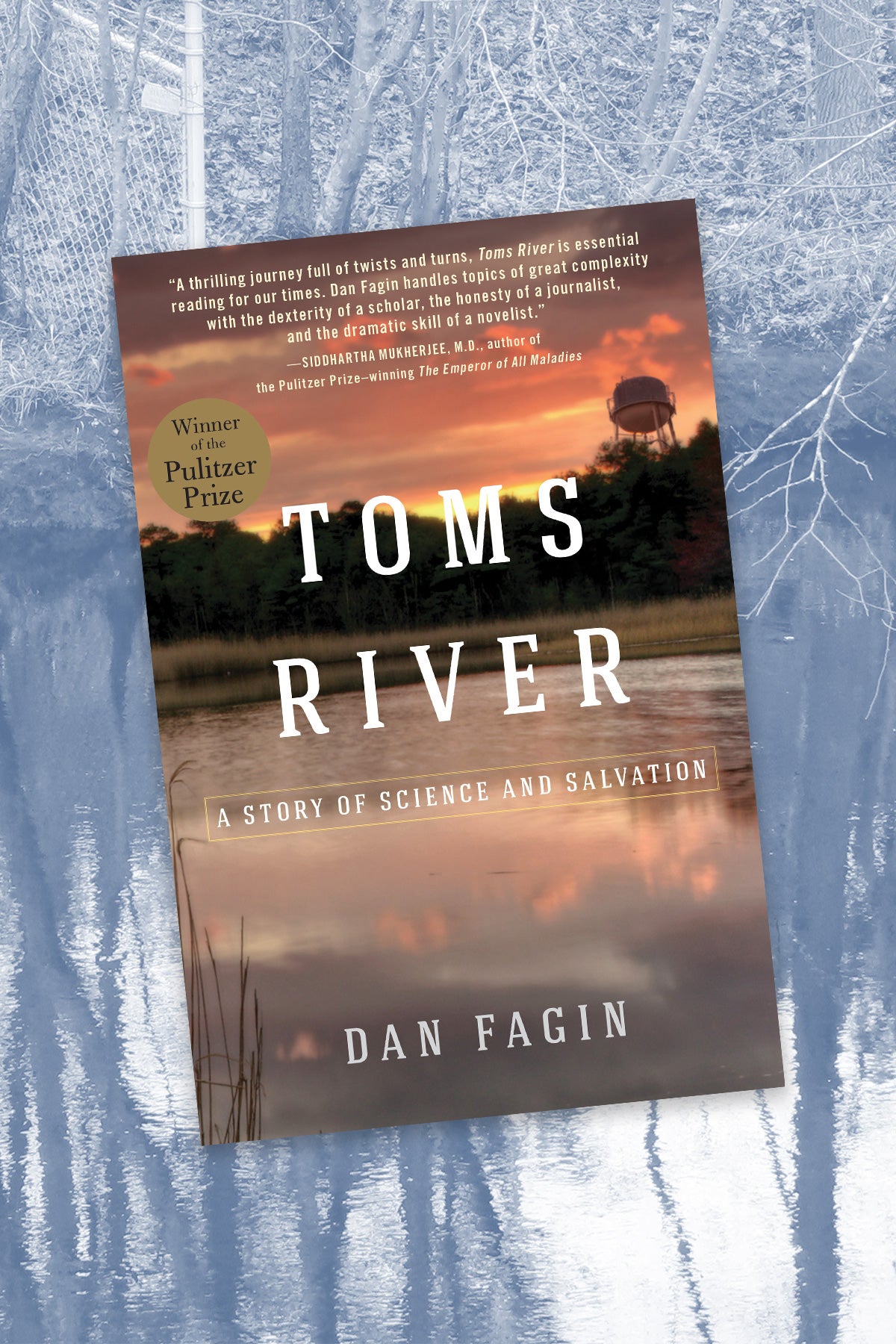 Book cover for “Toms River: A Story of Science and Salvation” on a photo of Toms River, NJ. The background image is black and white with a light blue tint.