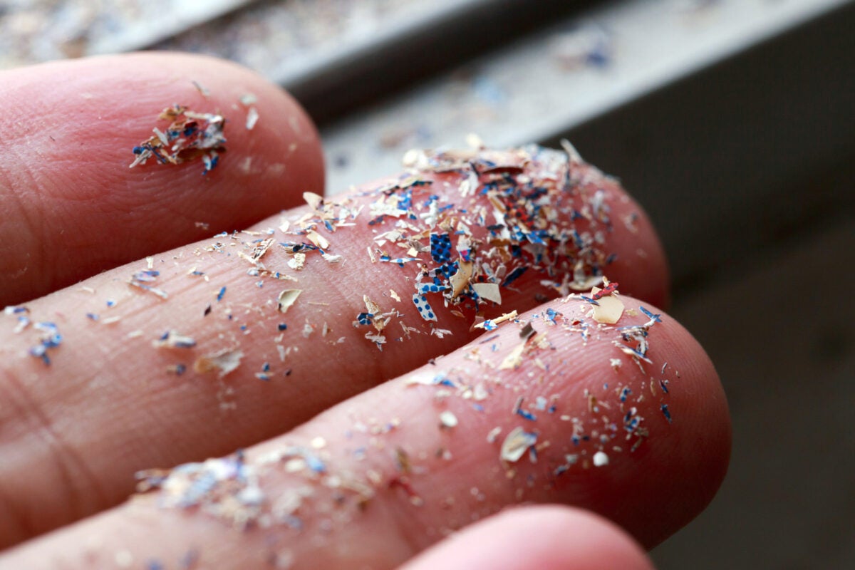 Close up side shot of microplastics on a hand and fingertips.