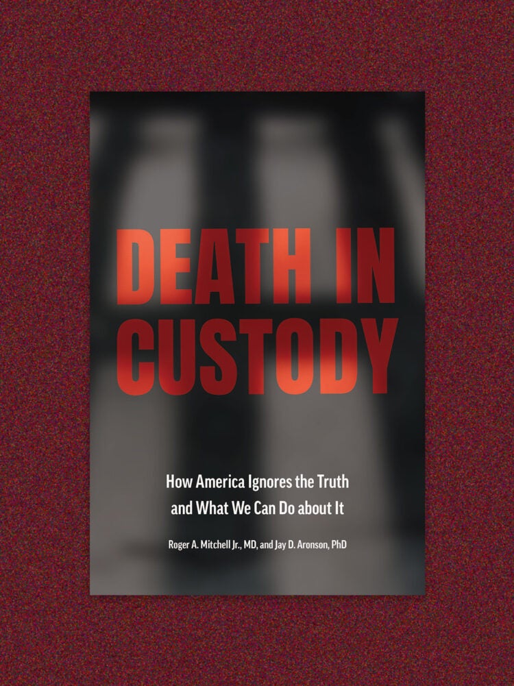 essay on deaths in custody