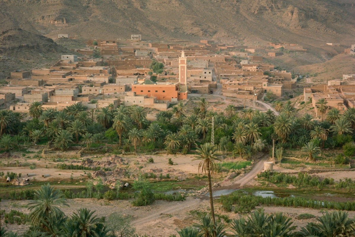 Aerial photo of the Fint Oasis in southern Morocco: green palm trees, a small water source and clay buildings stand among dry hills and dirt roads.