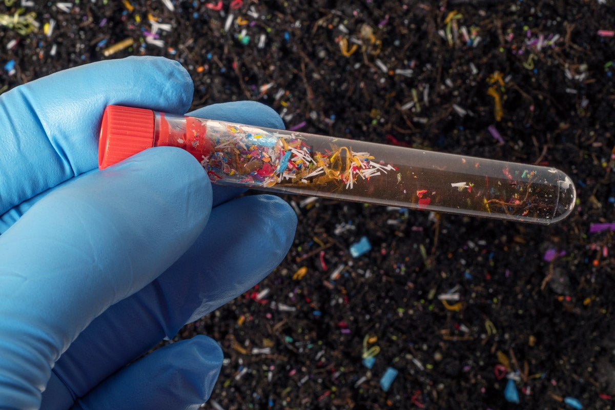 A blue latex gloved hand holds a test tube with soil showing microplastics.