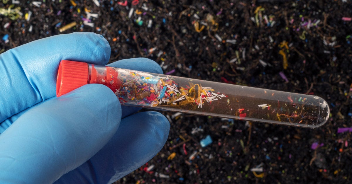 A blue latex gloved hand holds a test tube with soil showing microplastics.