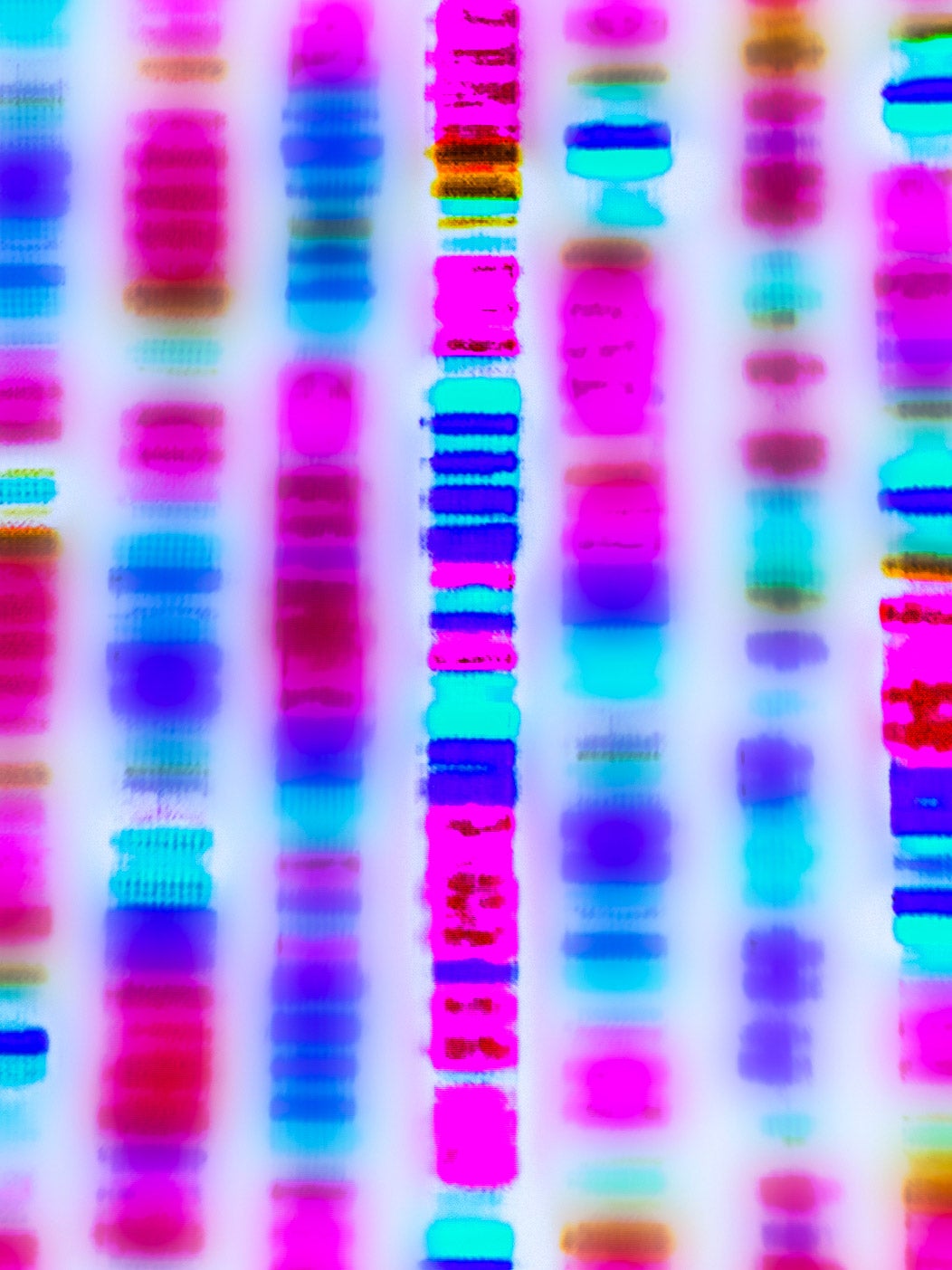 Graphic representation of the DNA sequence in bright blues, pinks and purples.