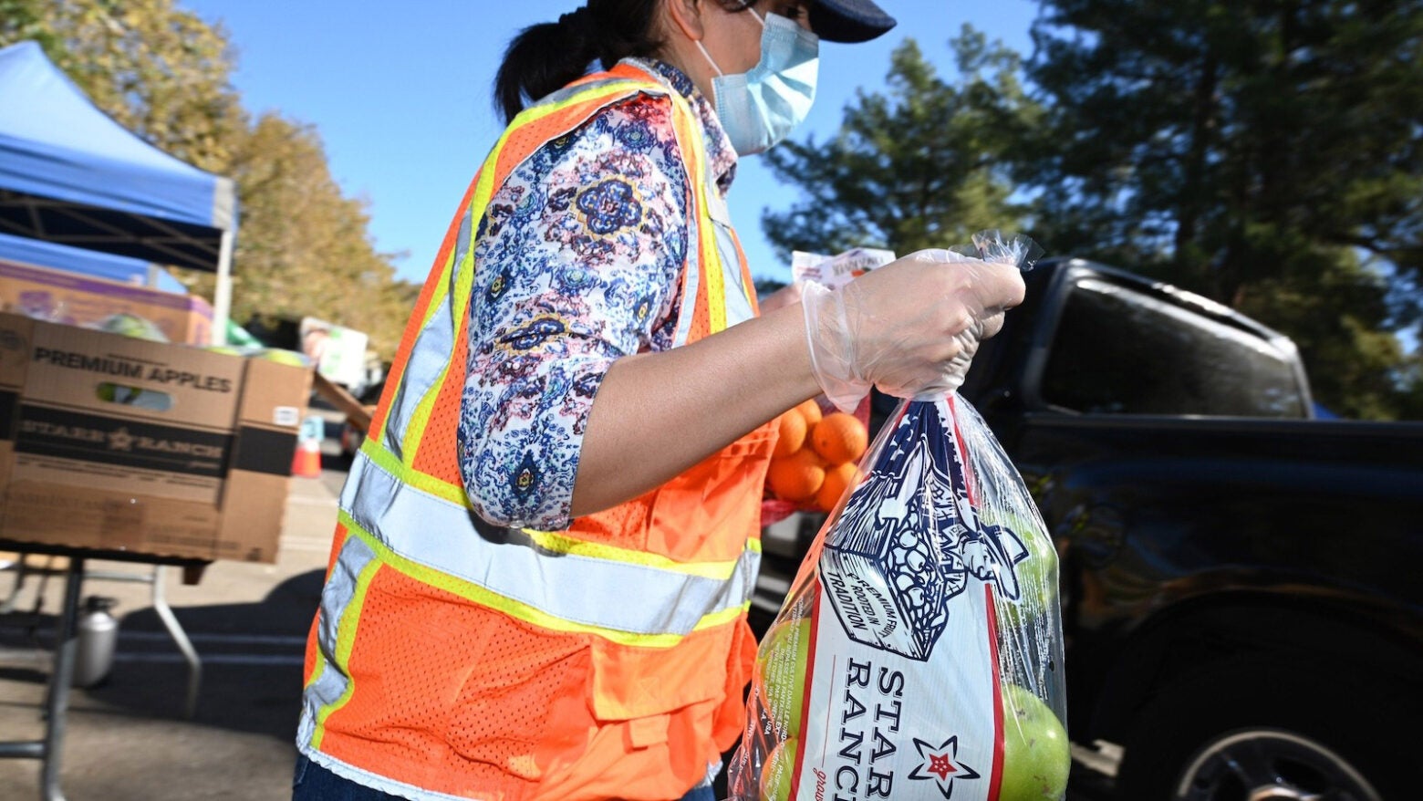 A woman in an orange reflective vest, baseball cap and mask, carries a bag of green apples to a black pick-up truck.