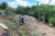 Researchers dig in soil in a tropical field in Puerto Rico.