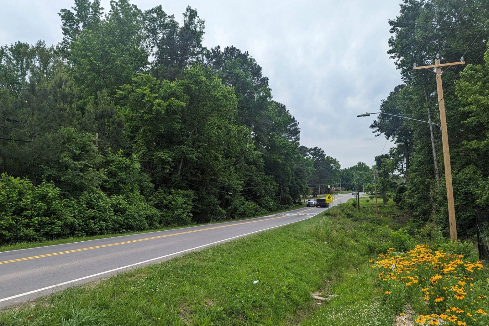 A two-lane highway on a wooded road outside Durham, North Carolina. The road has no sidewalks.