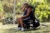 A man sitting in a black office chair in a shady park wipes his neck. He wears shorts, sneakers and a tank top.