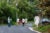 Four group of canvassers walk down a tropical street in Puerto Rico. They hold green and white flags and pamphlets.