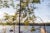 Two men stand on a deck on a lake on a sunny fall day. An out-of-focus tree is in the foreground.