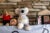 Stuffed animals sit on a fireplace mantel with two framed images of an infant. A stuffed Koala has "Jayden, January 12, 2024, 7lbs, 14oz" stiched on its white chest.