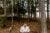 A middle-aged man wearing a hoodie sits in a chair near a pine forest and lake. He has his hands clasped in his lap and looks down.