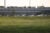 Cars parked alongside a facility in Memphis. There are multiple grey cooling rowers on the roof. A green field and fence are in the foreground of the image.