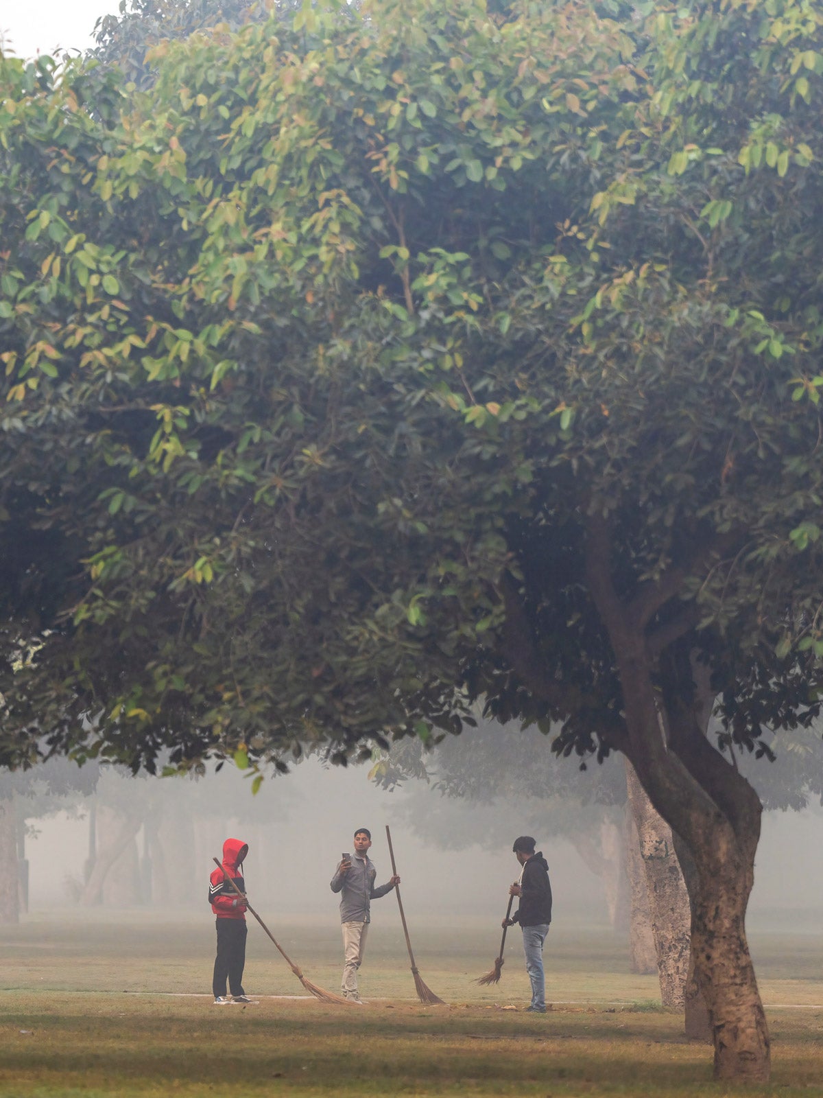 Three people in a New Delhi park stand near a large leafy tree in smoggy conditions.