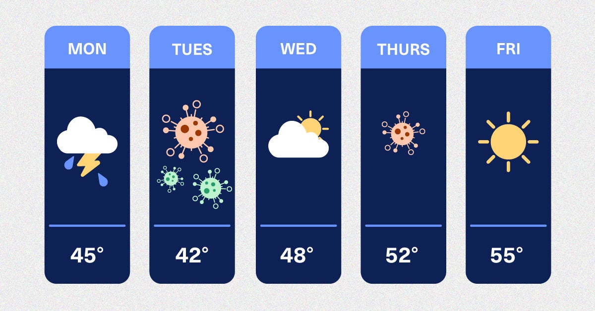 Illustration: Five day weather forecast alternating between weather and diseases.