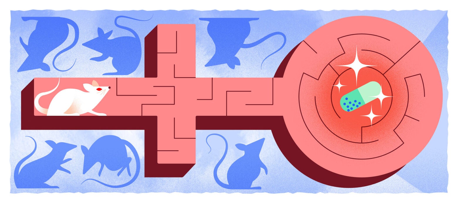 Illustration: A white mouse navigates a coral female-symbol maze to a goal of a green pill in the center. In the background has silhouettes of other mice in blue.